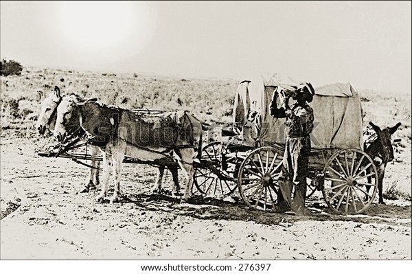shrook and donkey carrige