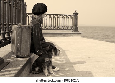 Vintage Photo Of A Little Girl And His Dog 