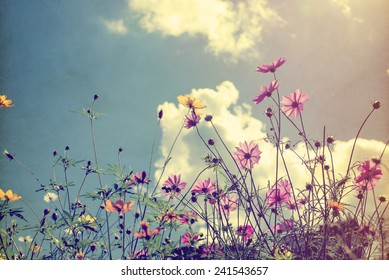 Vintage photo of nature background with wild flowers and plants