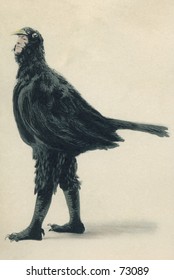 Vintage photo of stage actor in bird costume, circa 1900