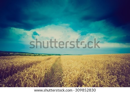 Similar – Image, Stock Photo Thunderstorm over a wheat field. Rural scene