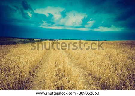 Similar – Image, Stock Photo Thunderstorm over a wheat field. Rural scene