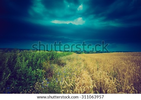 Similar – Image, Stock Photo Thunderstorm over a wheat field. Rural scene