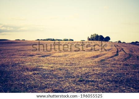 Similar – Image, Stock Photo stubble field Landscape