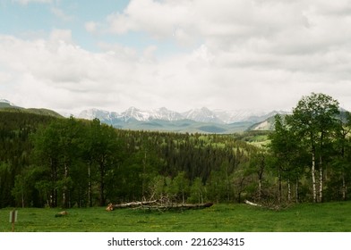 Vintage Photograph Of Alberta Rockies (1984)