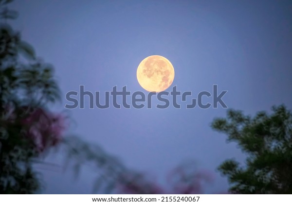 Vintage photography style of yellow full moon over\
blue night sky.