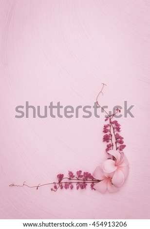 Similar – Garden flowers frame background with scissors