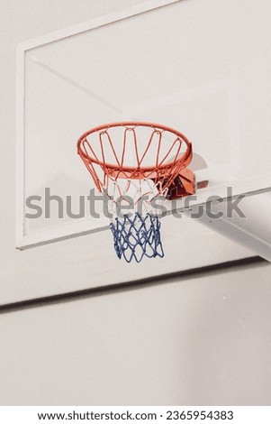Vintage Portrait of Basketball Hoop