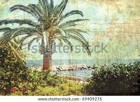 Vintage postcard. Tropical scene. Sea coast of Cyprus.
