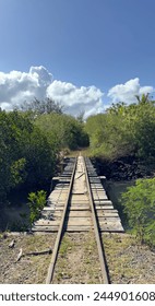 Vintage rail tracks and bridge in the nature
