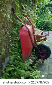 Vintage Red Wheel Barrel Leaning Upright Against Plant Covered Stone Wall