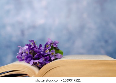 Vintage Romantic Background Old Book Violet Stock Photo 1369347521 ...