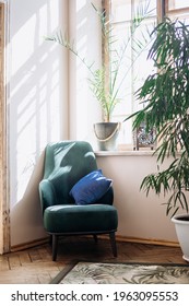 vintage room decor in classic style. green armchair with blue pillow. plant in pot near window. green carpet on wooden parquet floor. sunny day