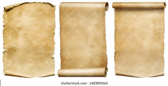 Vintage scrolls or parchment manuscripts set isolated on white - Shutterstock ID 1483890563