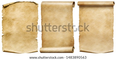 Vintage scrolls or parchment manuscripts set isolated on white