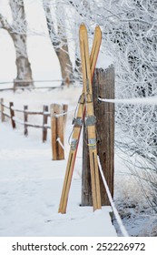 Vintage Skis in Winter Scene