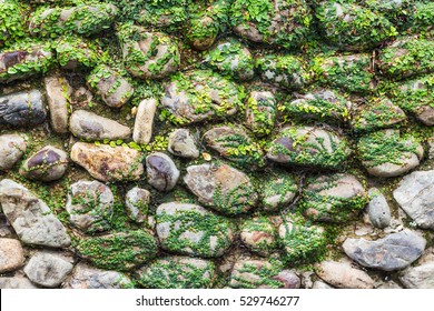 vintage stone wall covered with lichen.