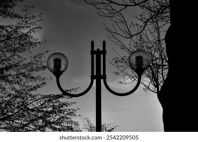 Vintage Street Lamp in Black and White - Powered by Shutterstock