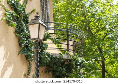 Vintage Street Lamp with Ivy-Covered Balcony - Powered by Shutterstock