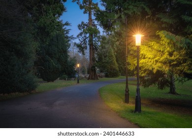 Vintage street lamps lit at evening, illuminating footpath and majestic trees in Farmleigh Phoenix Park, after sunset, at blue hour, Dublin, Ireland - Powered by Shutterstock - Get 15% off with code: PIKWIZARD15