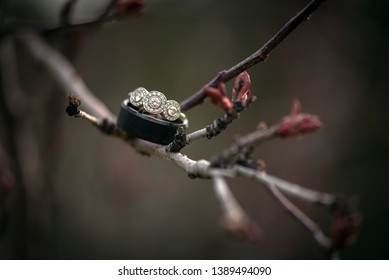 Vintage Style Engagement Ring With Three Diamonds In A Halo Setting And A Mens Wedding Band Below, All Sitting On A Tree Branch During A Cold Fall Day That Feels Like Winter