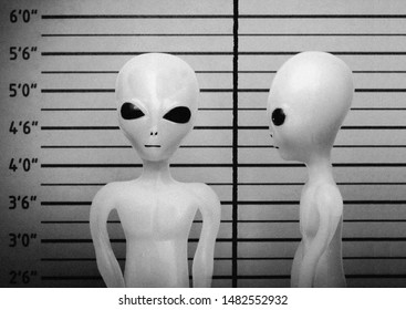 Vintage Style Grainy Black And White Mugshot Of A Visitor From Another Planet, Grey Alien, Extra Terrestrial 