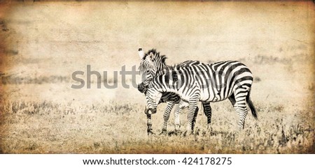 Similar – Image, Stock Photo street-graffiti-zebra