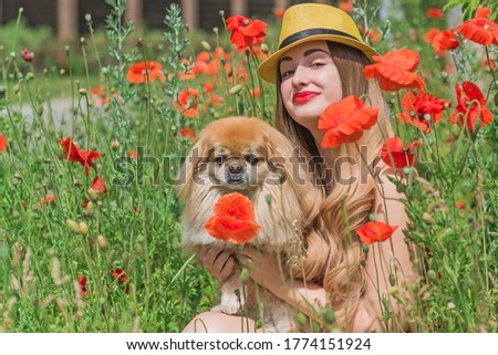 Vintage style, redhead girl in poppies meadow, beautiful nature and landscape