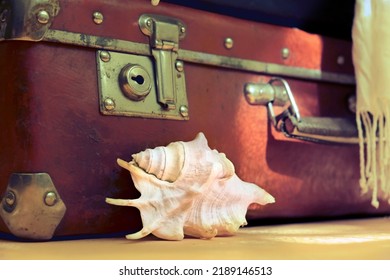 Vintage Suitcase And Seashell, Nostalgic, Travel  And  Adventure Concept