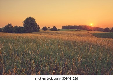 Vintage Sunset Over Summer Fields