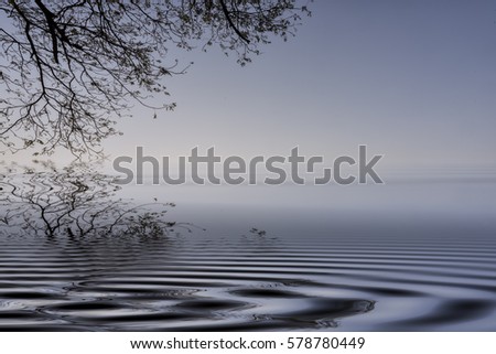 Similar – Image, Stock Photo Outside at the lake II