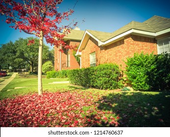 Vintage Tone Exterior Brick Wall Single-detached Dwelling Home In Suburban Dallas-Fort Worth With Attached Garage. Autumn Fall Foliage With Bright Red Maple Color In Texas, America.