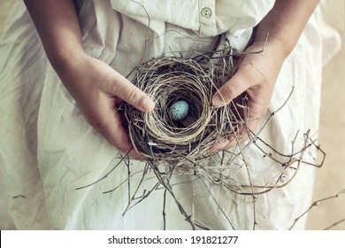 Vintage Toned Closeup Of Girl's Hands Holding A Wild Bird Nest Containing A Blue And Brown Speckled Egg. Soft Romantic Toning.