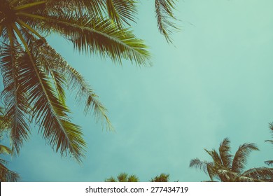 Vintage Toned Palm Tree Over Sky Background