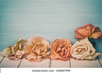 Vintage Toned Peach Roses On White Board Table And Against A Weathered And Teal Blue Shiplap Background With Room Or Space For Copy, Text, Your Words Or Design.  It's Horizontal With Cross Processing