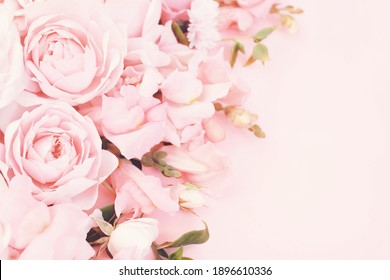 Vintage Rose Blooms Free Stock Photo | picjumbo