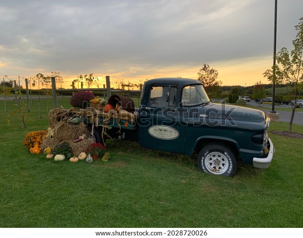 Vintage truck at Folino’s Estate in Kutztown,\
Pennsylvania. October\
2021.