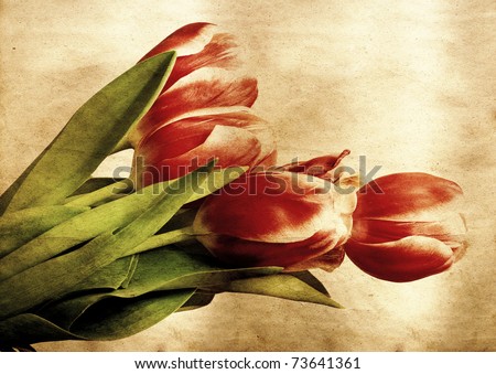                       Vintage tulips