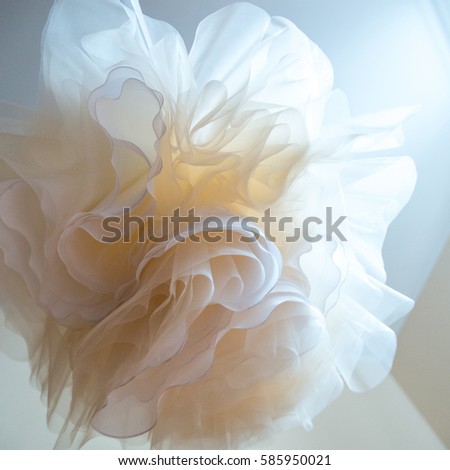 Similar – White Ranunculus Design