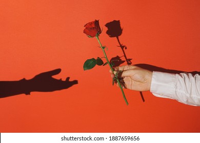 Vintage Valentine scene with male hand holding red rose and woman hand shadow against vibrant red background. Bright light, minimal retro style. - Powered by Shutterstock