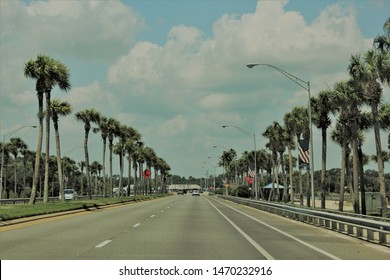 Vintage View Of Palm Tree Lined Street