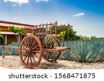Vintage Wagon in front of a Agave Tequila Farm at Yucatan