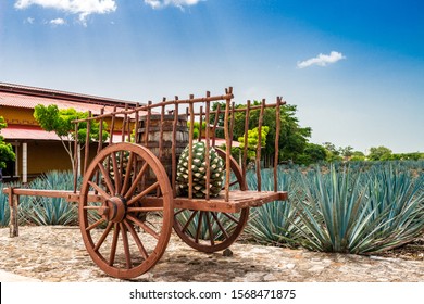 Vintage Wagon In Front Of A Agave Tequila Farm At Yucatan