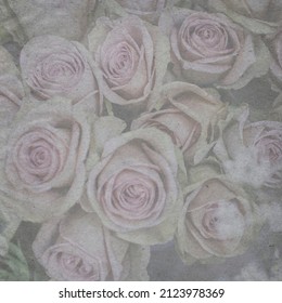 4,063 Burnt rose Images, Stock Photos & Vectors | Shutterstock