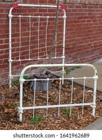 Vintage White Iron Frame Accented With Two Cardinal Ornaments Mounted In A Small Garden Plot On A Rainy Day.