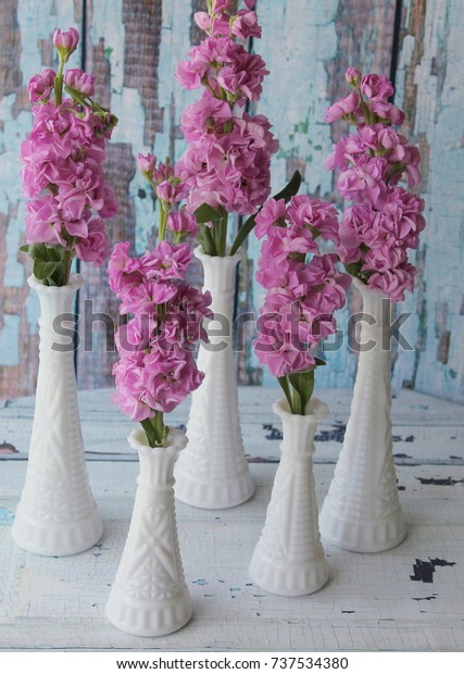 Vintage White Milk Glass Vases Pink Stock Photo Edit Now 737534380