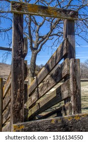 Vintage Wood Cattle Chute