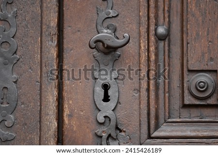 Vintage wooden carved door with an antique brass handle in the rural village of Barr in Alsace, France. 