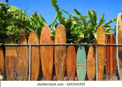 Vintage Wooden Surfboards leaning on fence under palms in Oahu Hawaii