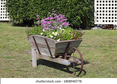 Vintage Wooden Wheel Barrow Used As A Garden Bed